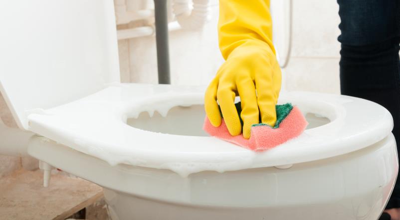 How to Clean a Toilet and Disinfect It Easily