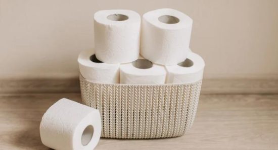 The History Before Toilet Paper
