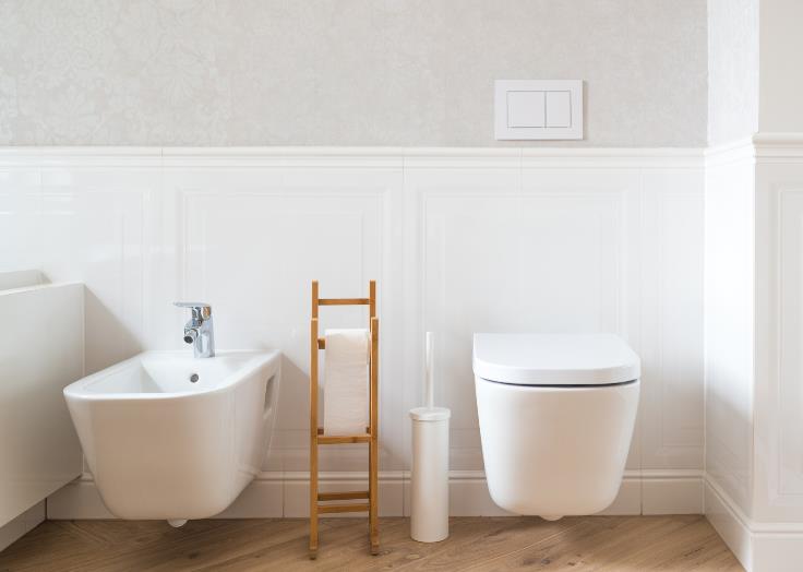 What is a Bidet Toilet?-History and Advantages
