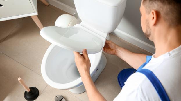 how to replace a toilet seat