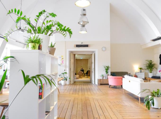 How to Arrange Plants in Living Room to Enhance Decor?