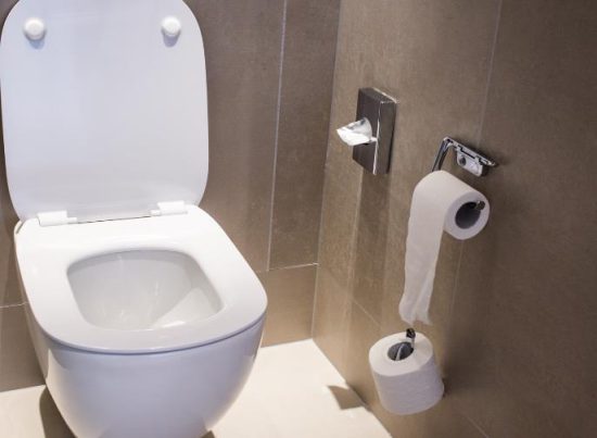 Introduction to Toilet Seat Removal